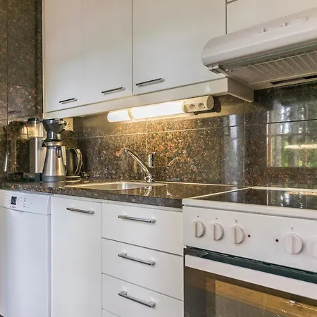 Joutsen By Interhome Vakantiehuis Kekkonen